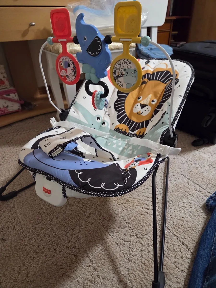 Fisher-Price Signature Style Bouncer - Image 3