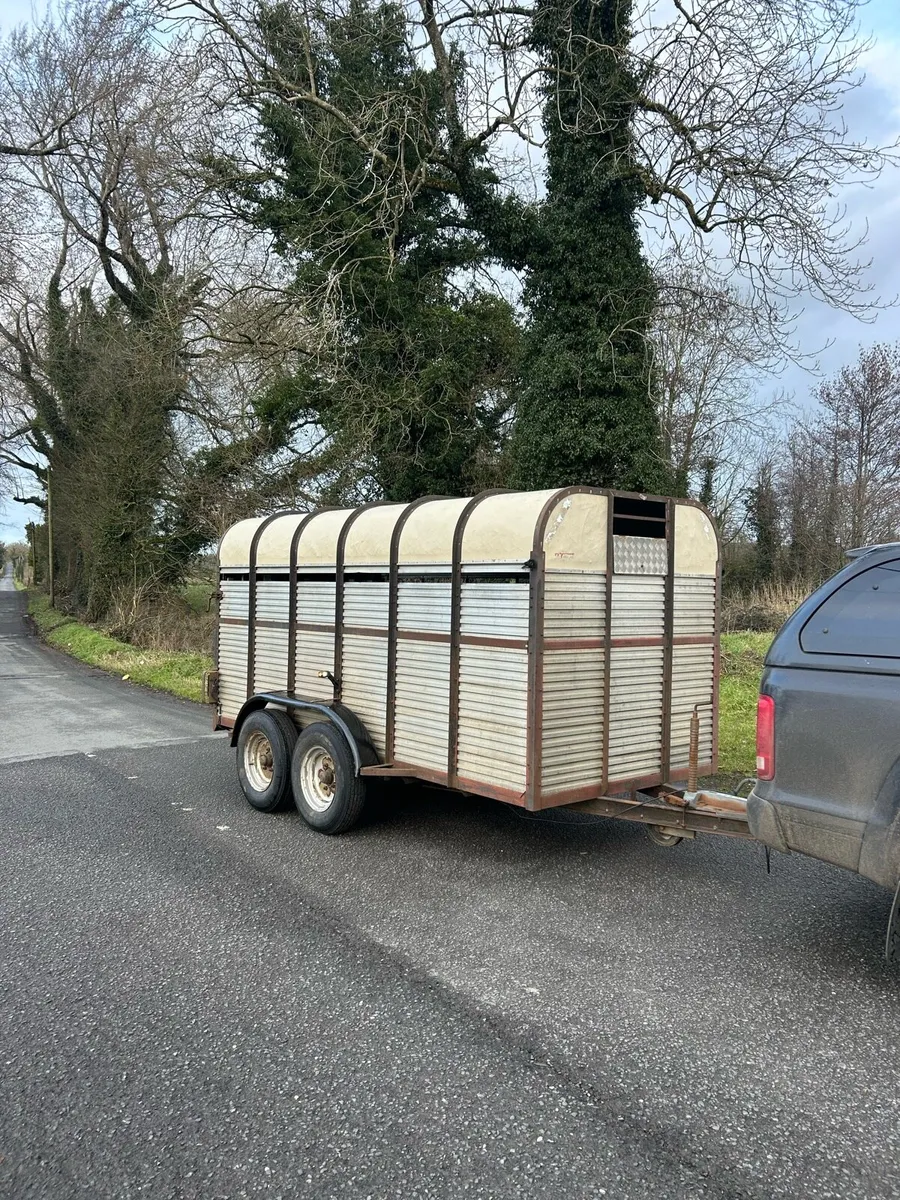 13ft Hamilton cattle trailer new floor - Image 1