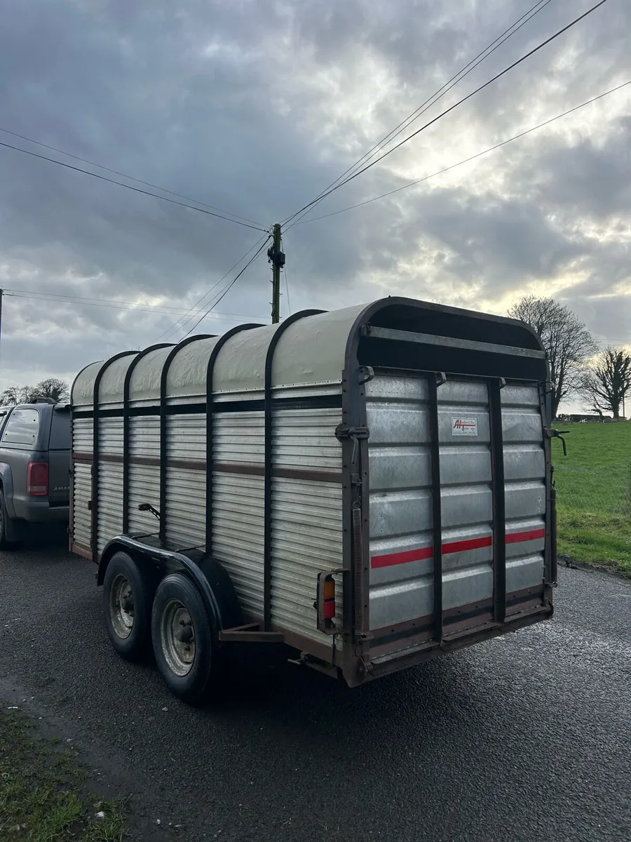 13ft Hamilton cattle trailer new floor - Image 2