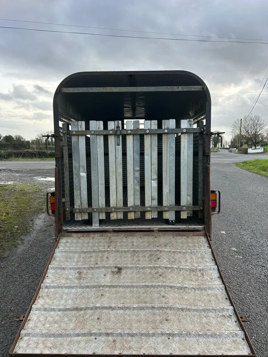 13ft Hamilton cattle trailer new floor - Image 3