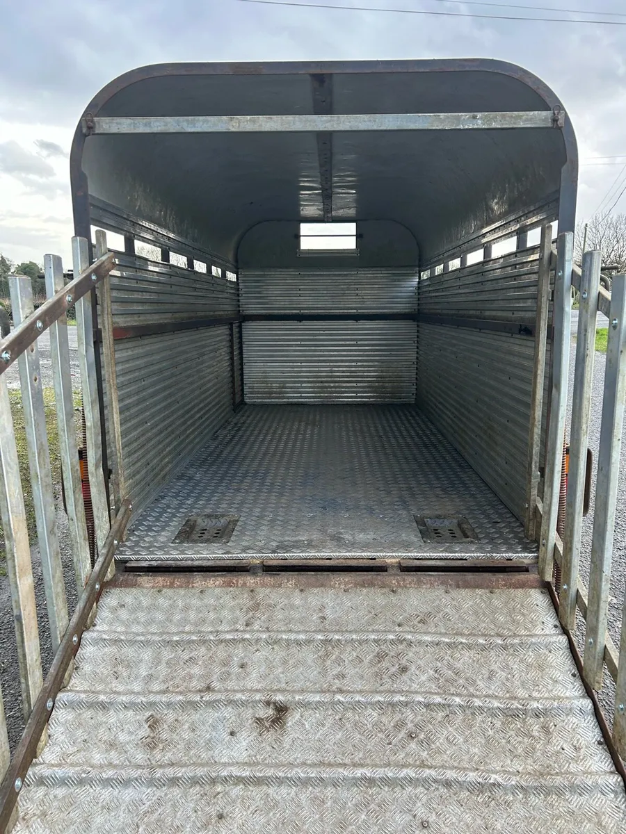 13ft Hamilton cattle trailer new floor - Image 4