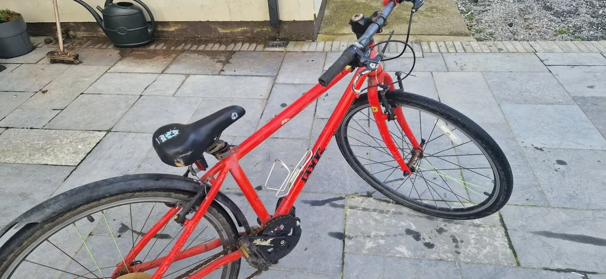 Frog bikes ×3 - Image 1