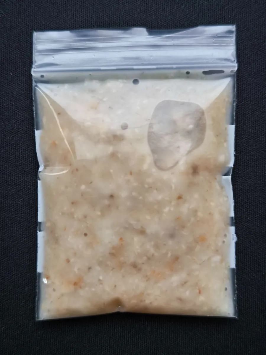 Live Fish Food Starter Cultures (• Microworms •) - Image 4