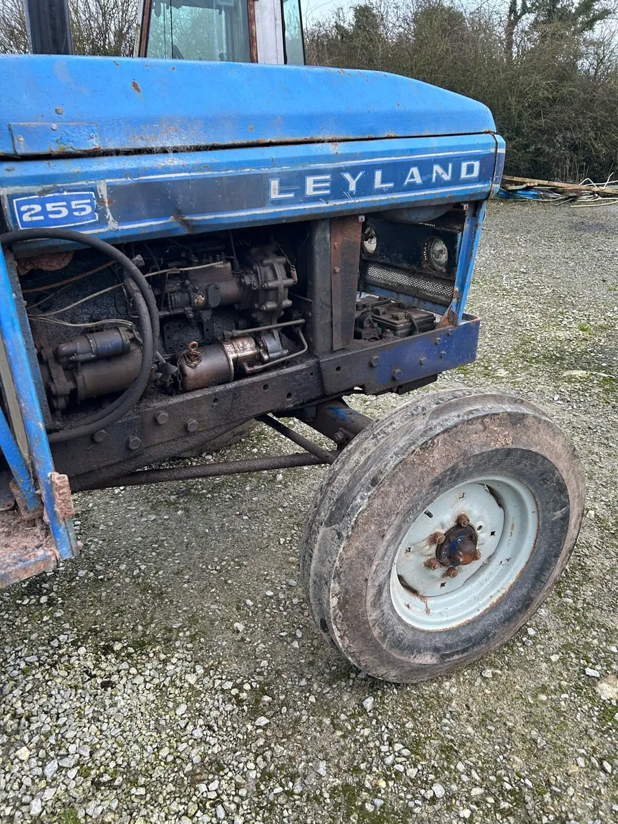 Leyland 255 - Image 4