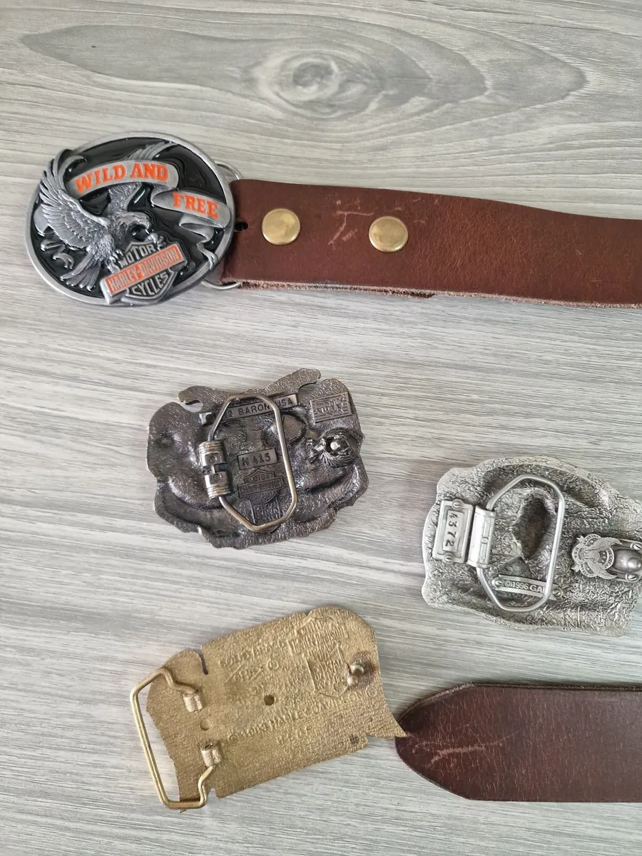 Belt Buckles/Belt - Image 3