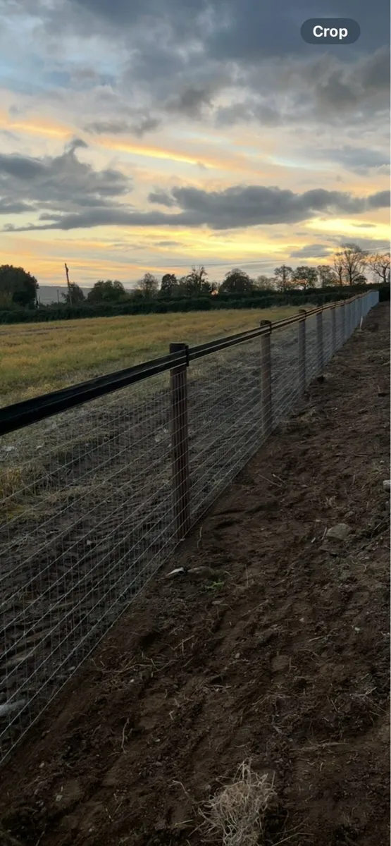 Fencing and groundwork - Image 4