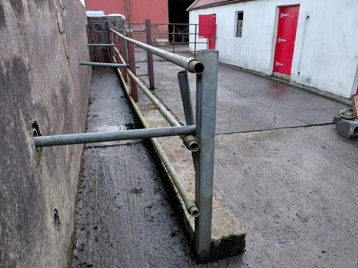 Cattle Crush / Race For Sale - Image 2