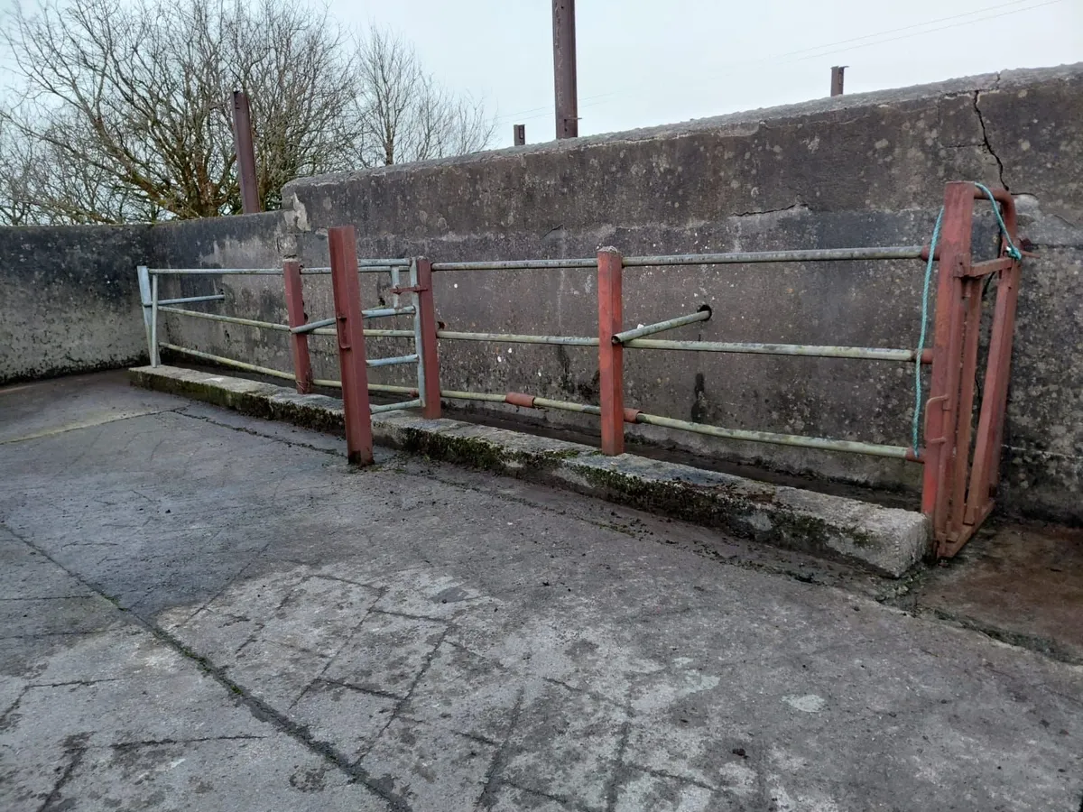 Cattle Crush / Race For Sale - Image 1