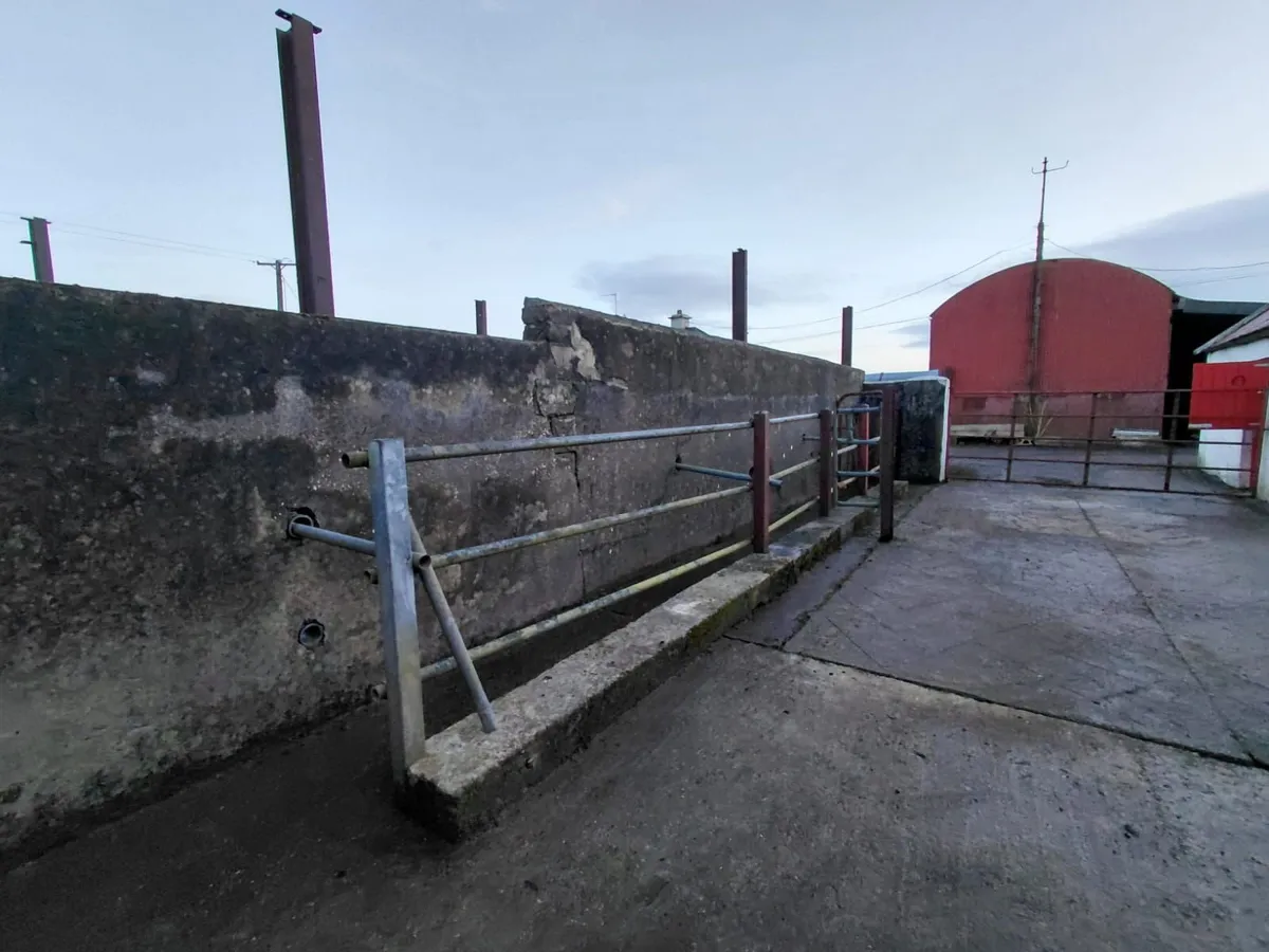 Cattle Crush / Race For Sale - Image 3