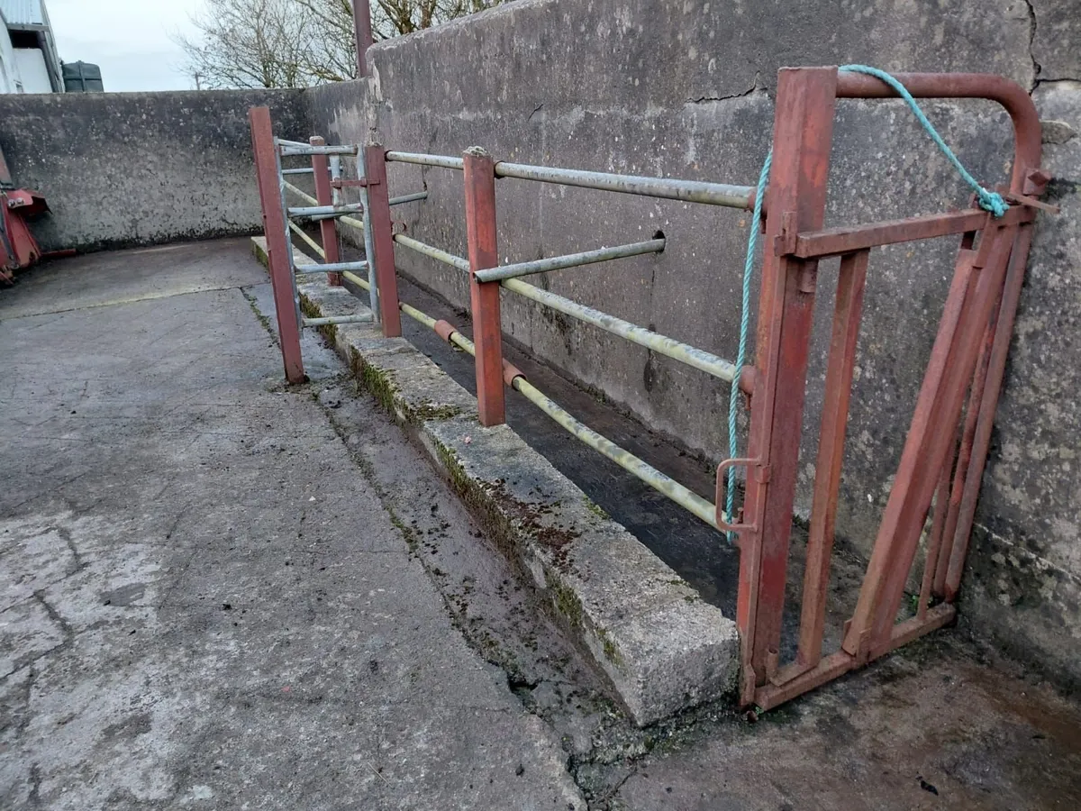 Cattle Crush / Race For Sale - Image 4