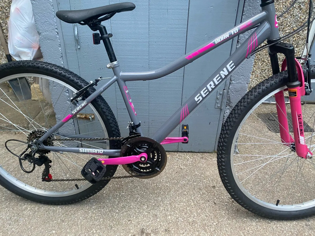 Serene mountain bike - Image 4