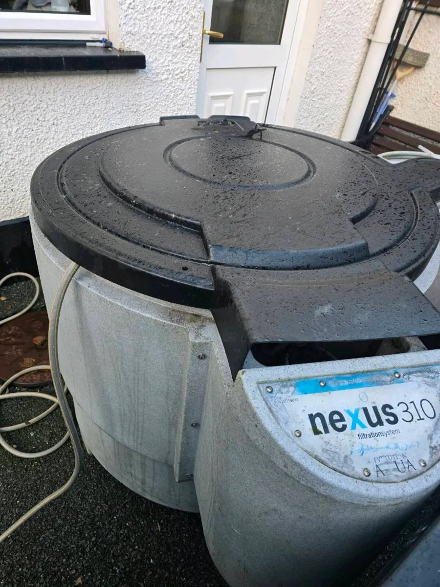 Fish pond and equipment and koi for sale - Image 2