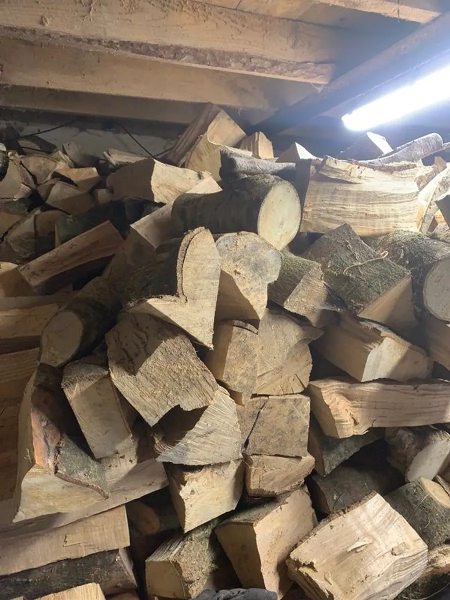 Firewood - Image 2