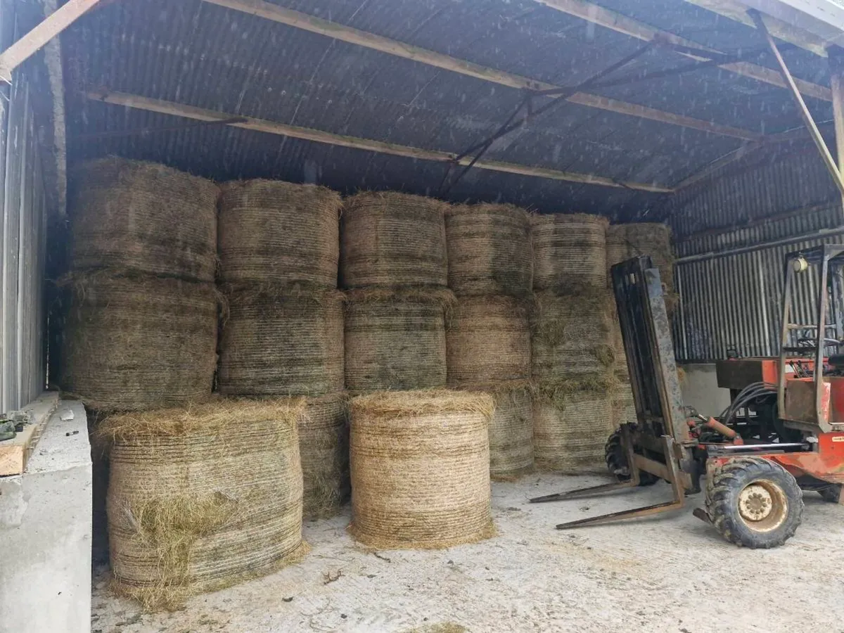 Hay for sale - Image 2