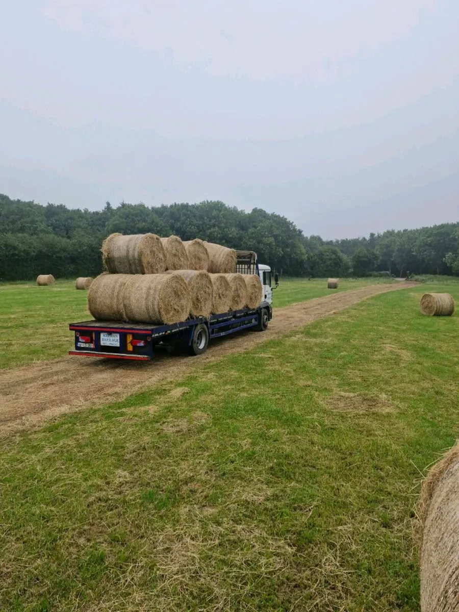 Hay for sale - Image 1