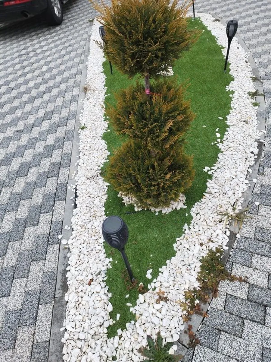 Reliable Residential services & maintenance - Image 2