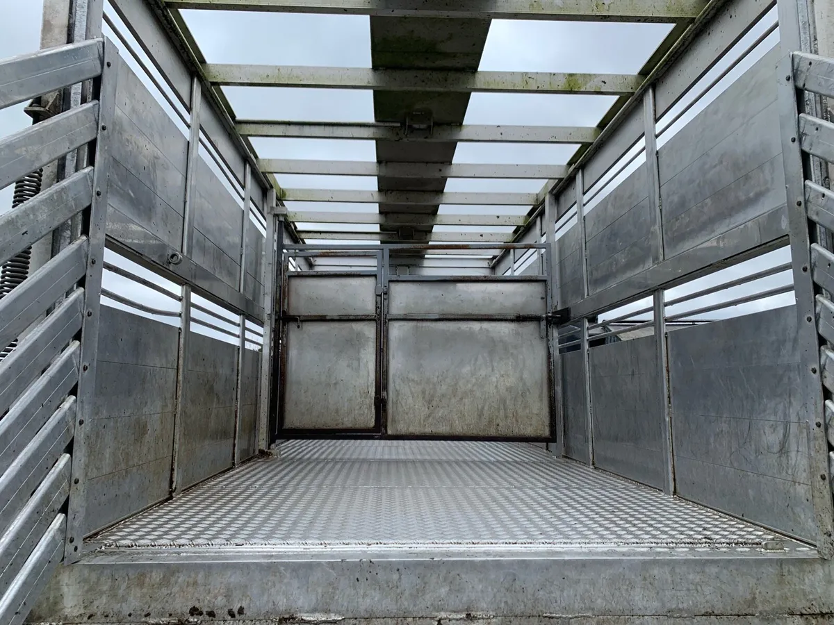Iveco Cattle/Livestock Lorry - Image 3