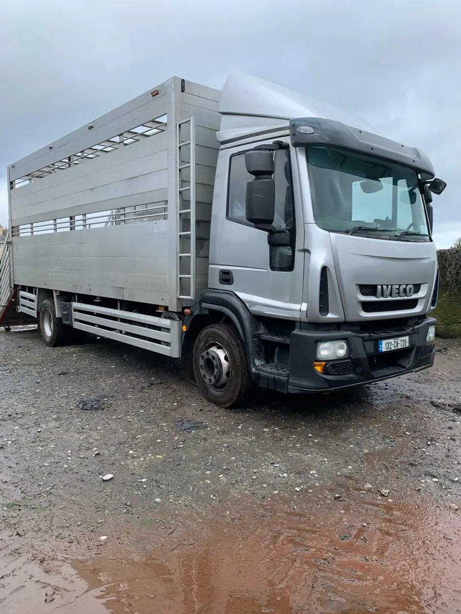 Iveco Cattle/Livestock Lorry - Image 1