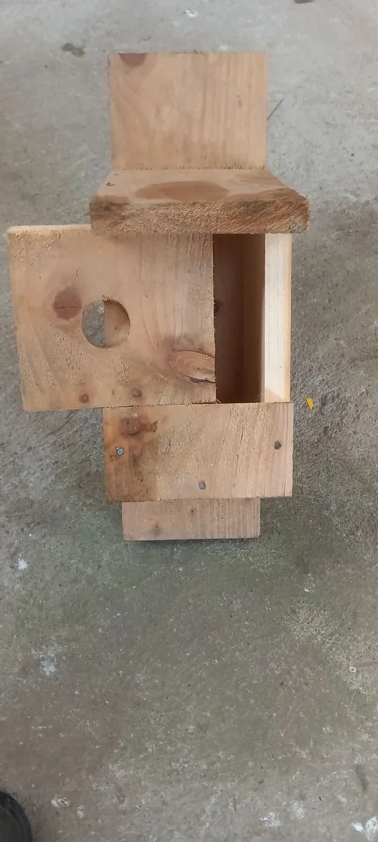 Bird/Bat  Boxes - Image 2