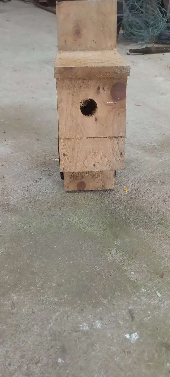 Bird/Bat  Boxes - Image 3