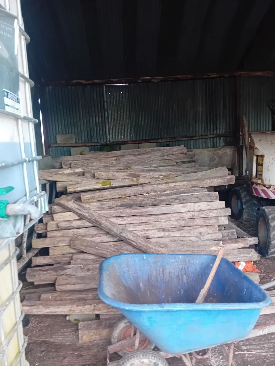 Walnut Timber - Image 2