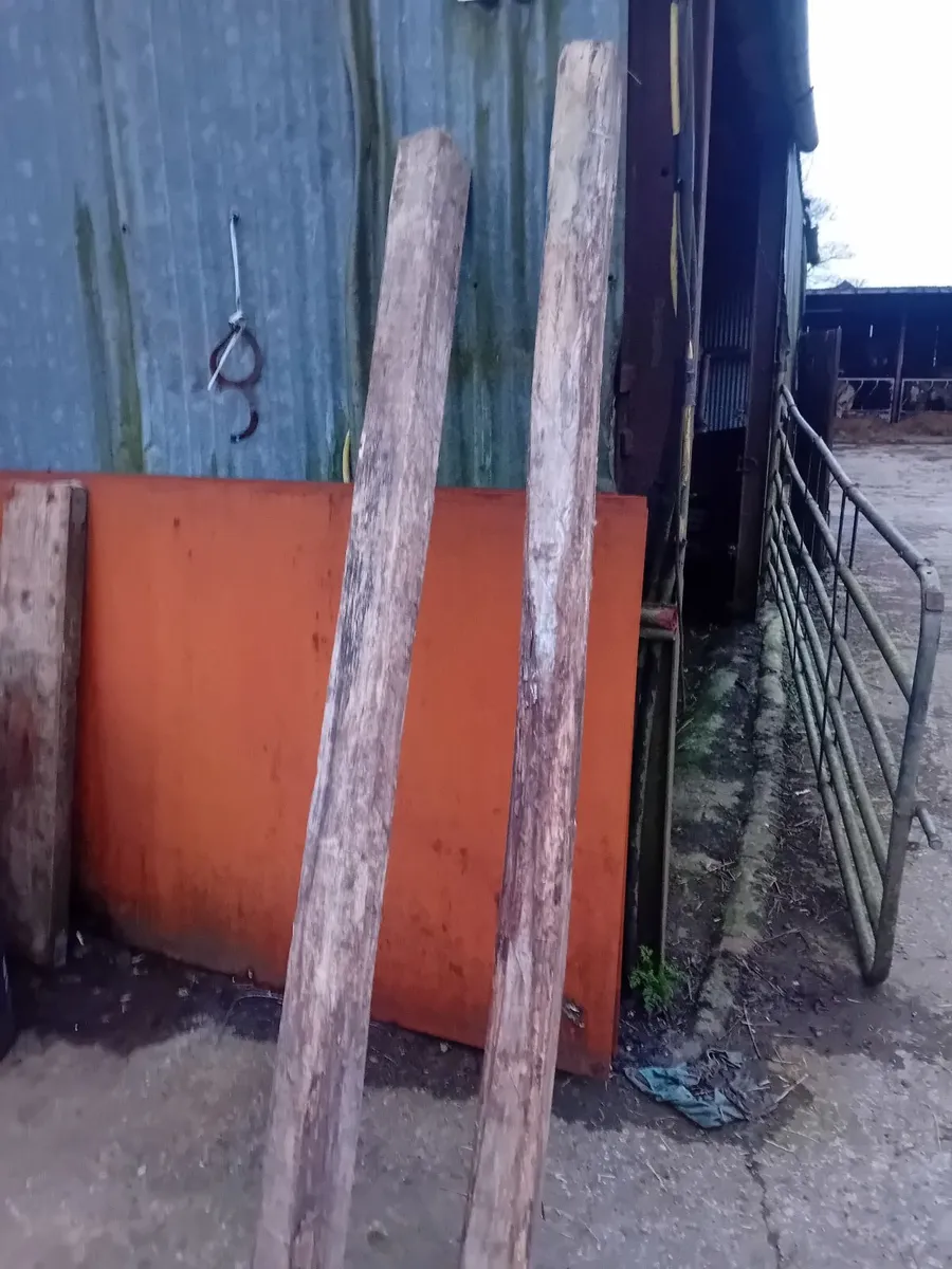 Walnut Timber - Image 1