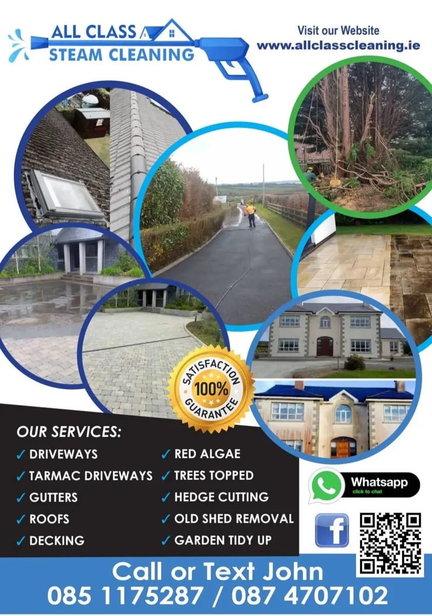 All class steam cleaning &garden - Image 4