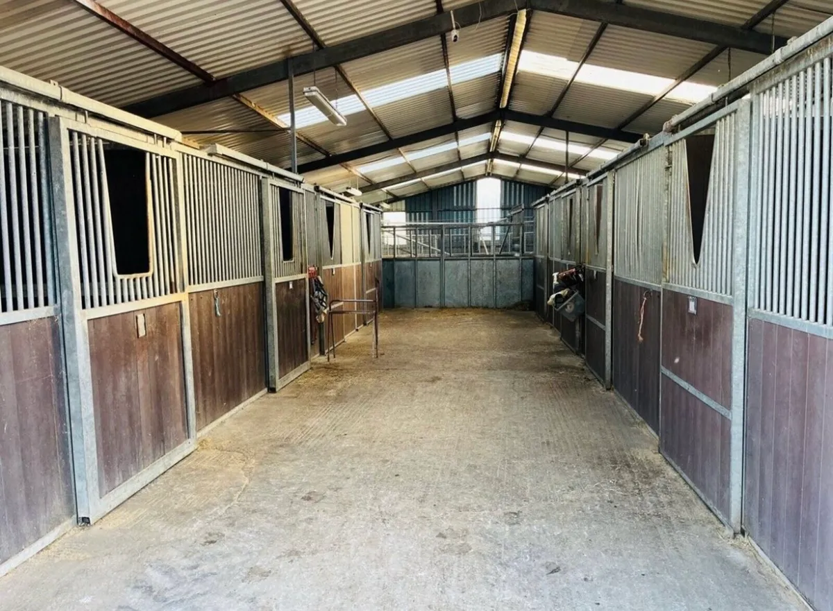 Full livery - Image 2