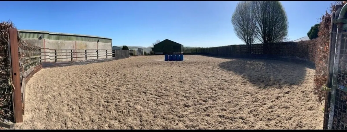 Full livery - Image 3