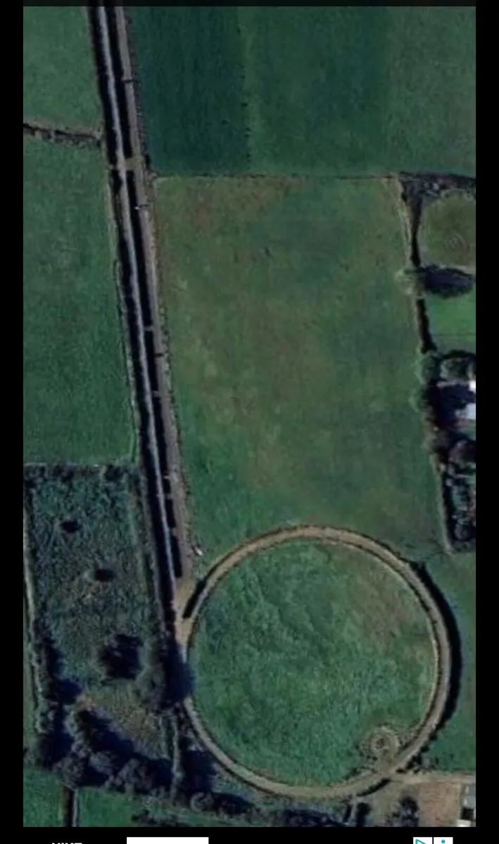 Full livery - Image 4