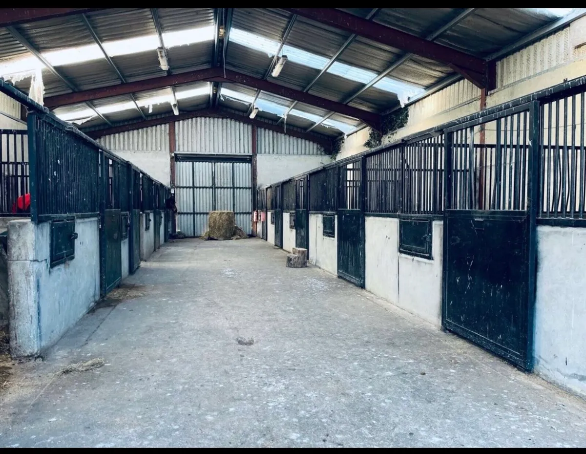 Full livery - Image 1