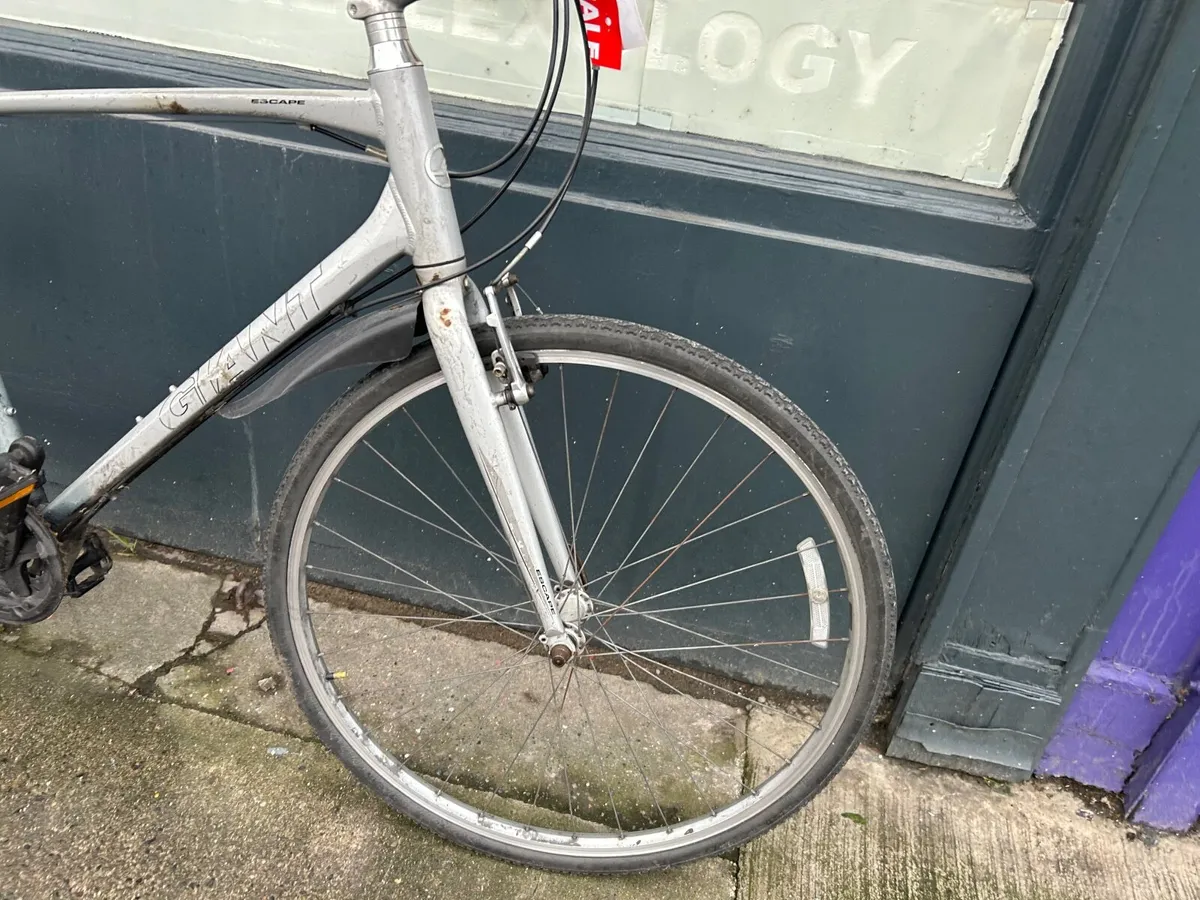 Giant Escape ❗️Open 7 days of the week ❗️ - Image 3