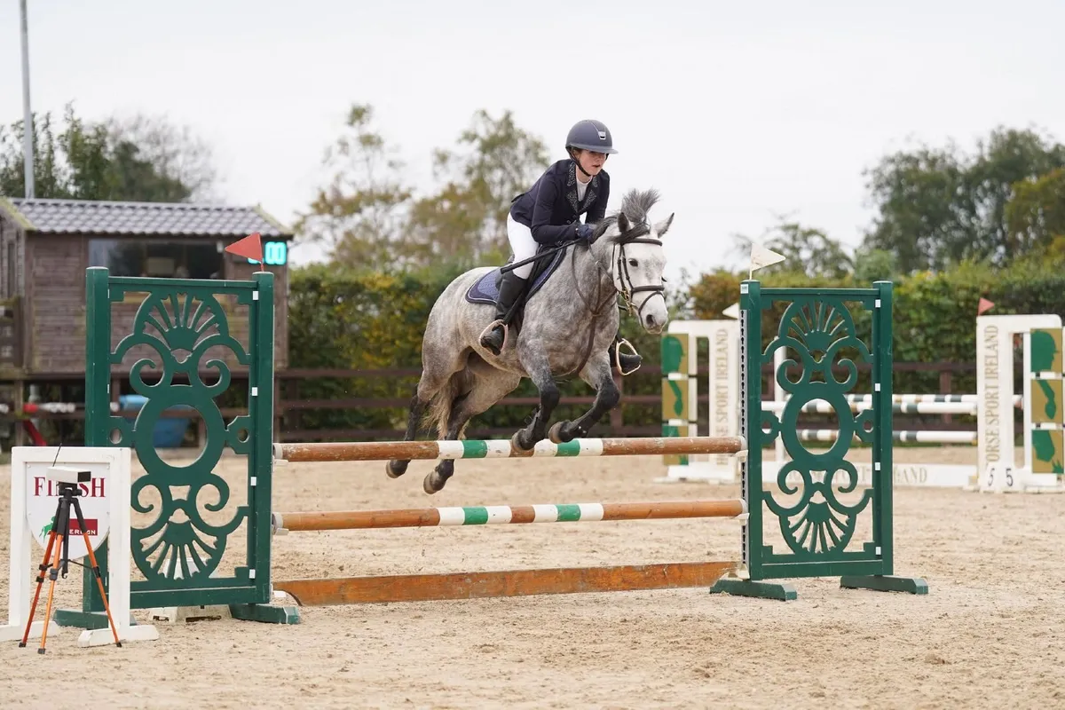 138 cm showjumping pony - Image 3