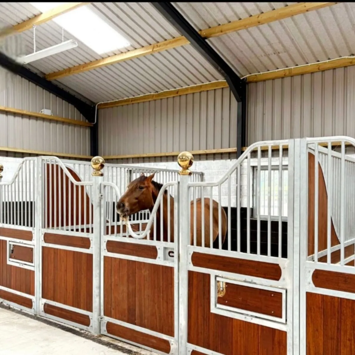 Stables and stable doors - Image 1