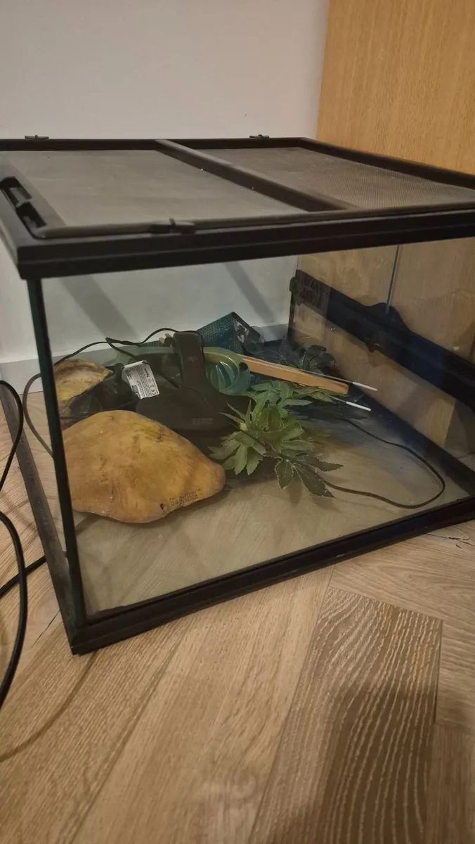 Terrarium - Image 1