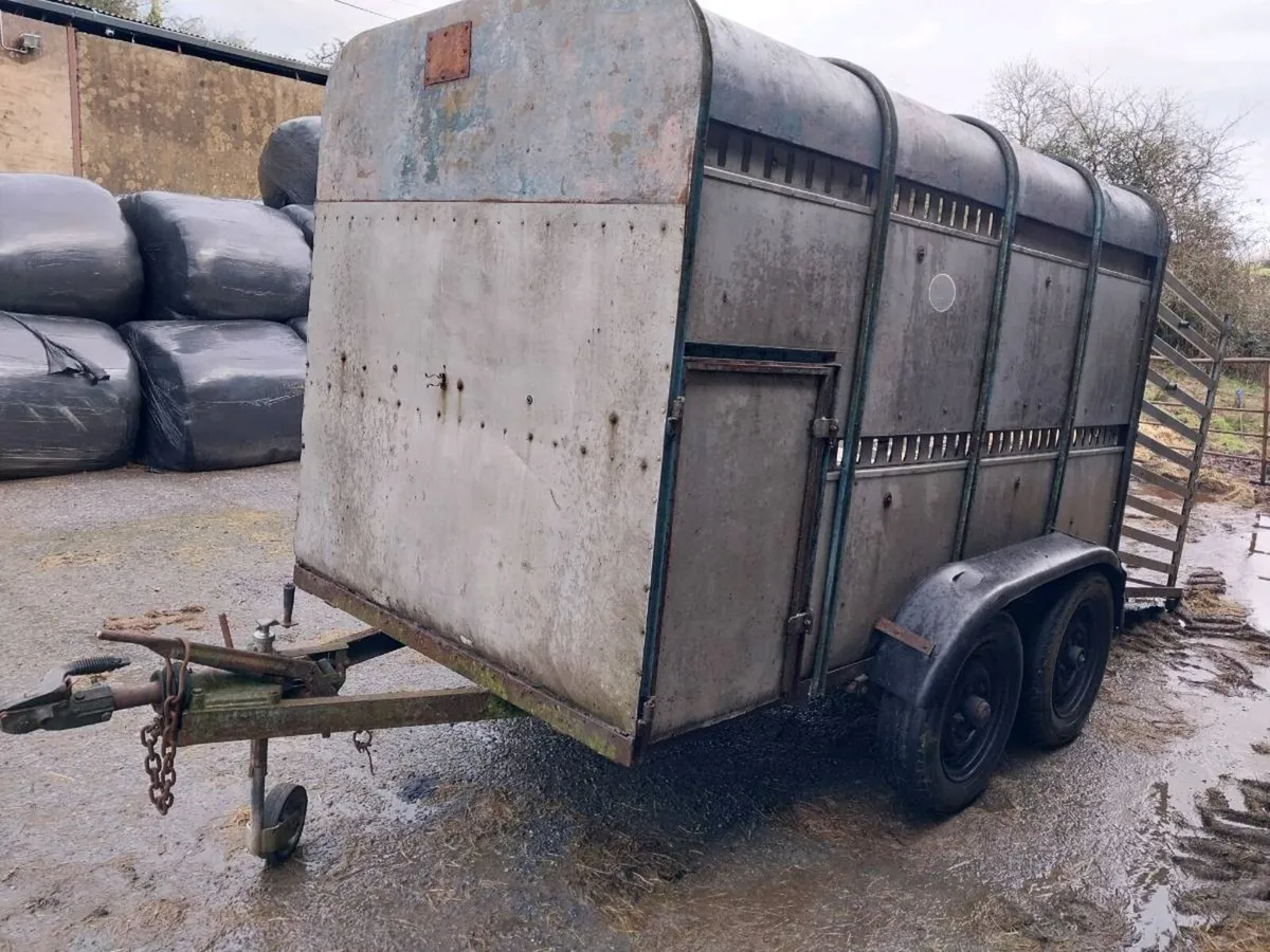 Cattle Trailer (10x5) - Image 4