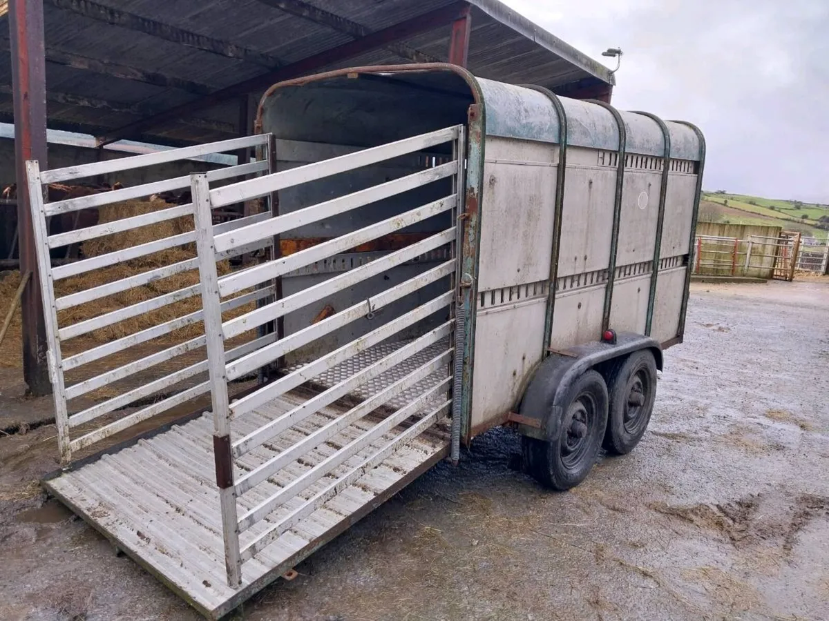Cattle Trailer (10x5) - Image 1
