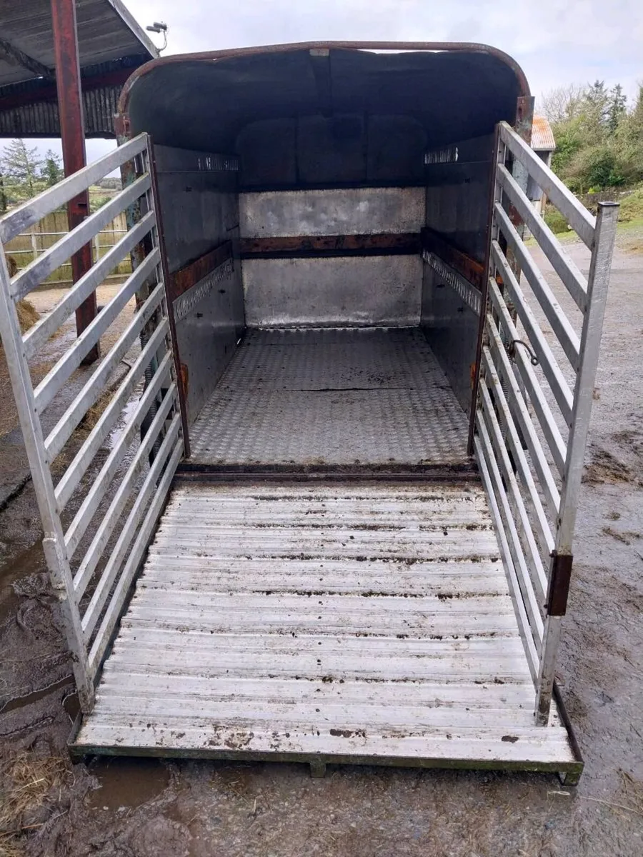 Cattle Trailer (10x5) - Image 2