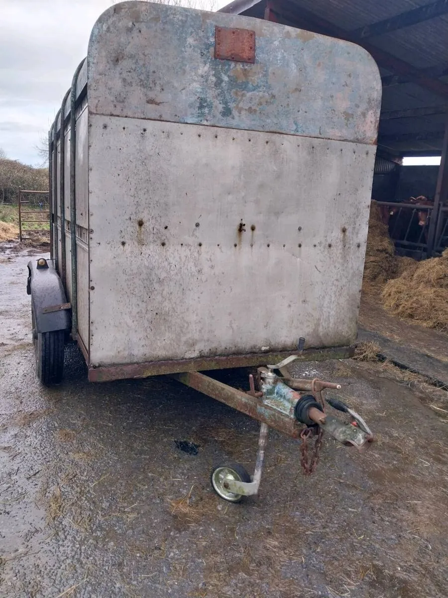 Cattle Trailer (10x5) - Image 3