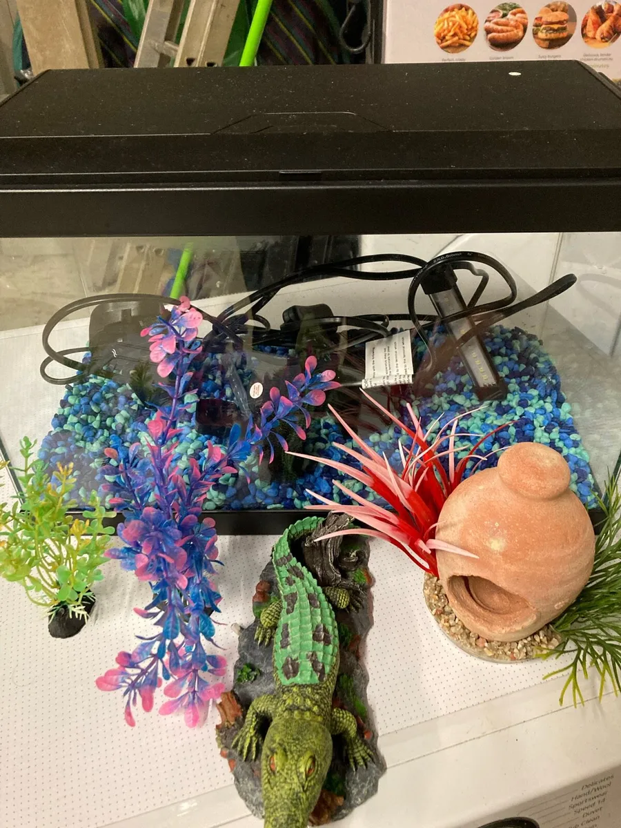 Fish tank with all accessories - Image 2