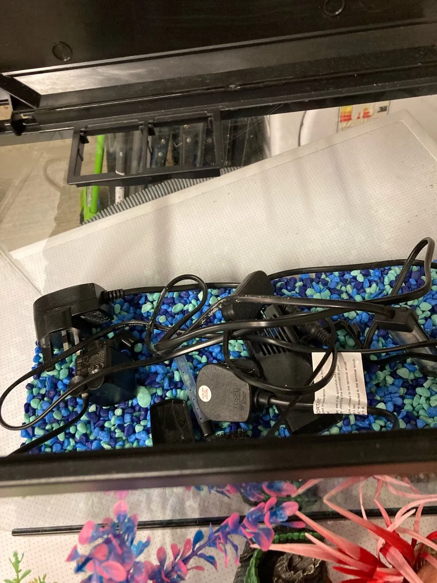Fish tank with all accessories - Image 4