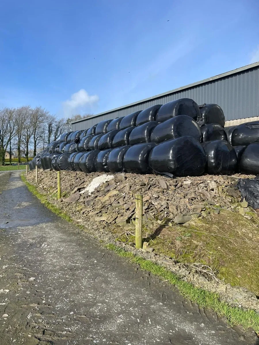 Silage bales