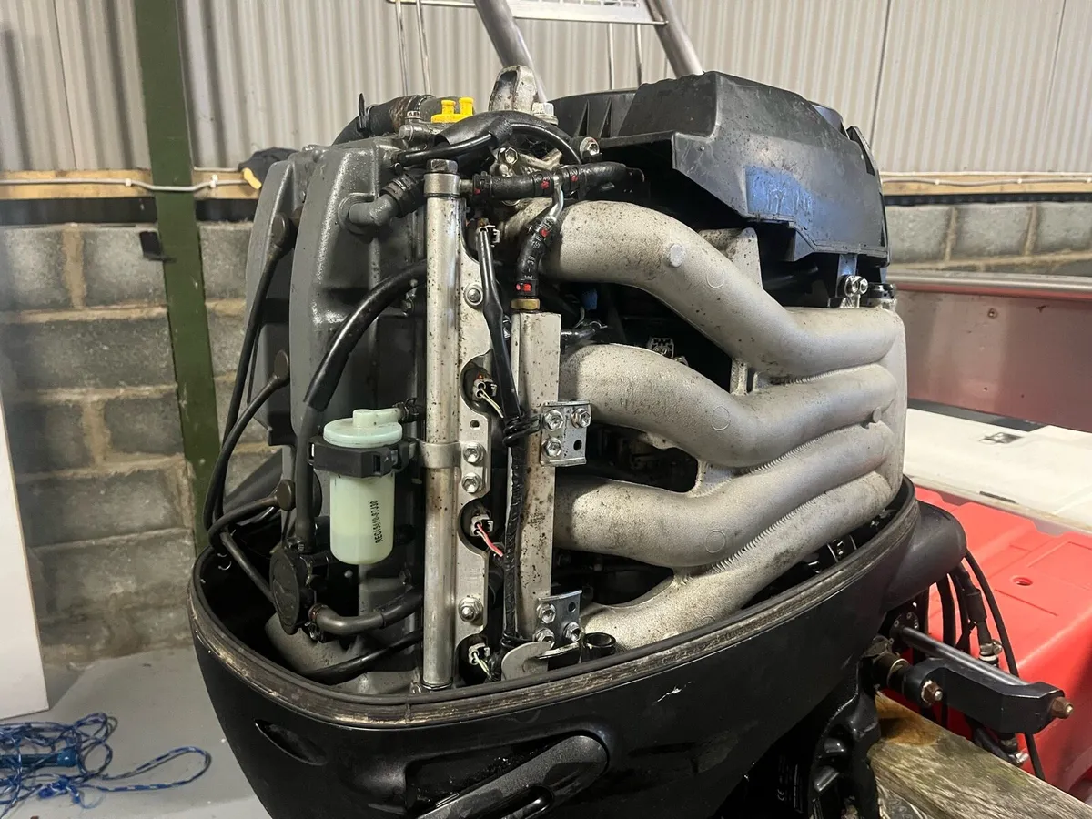 ARK RIB - 6M - Image 4