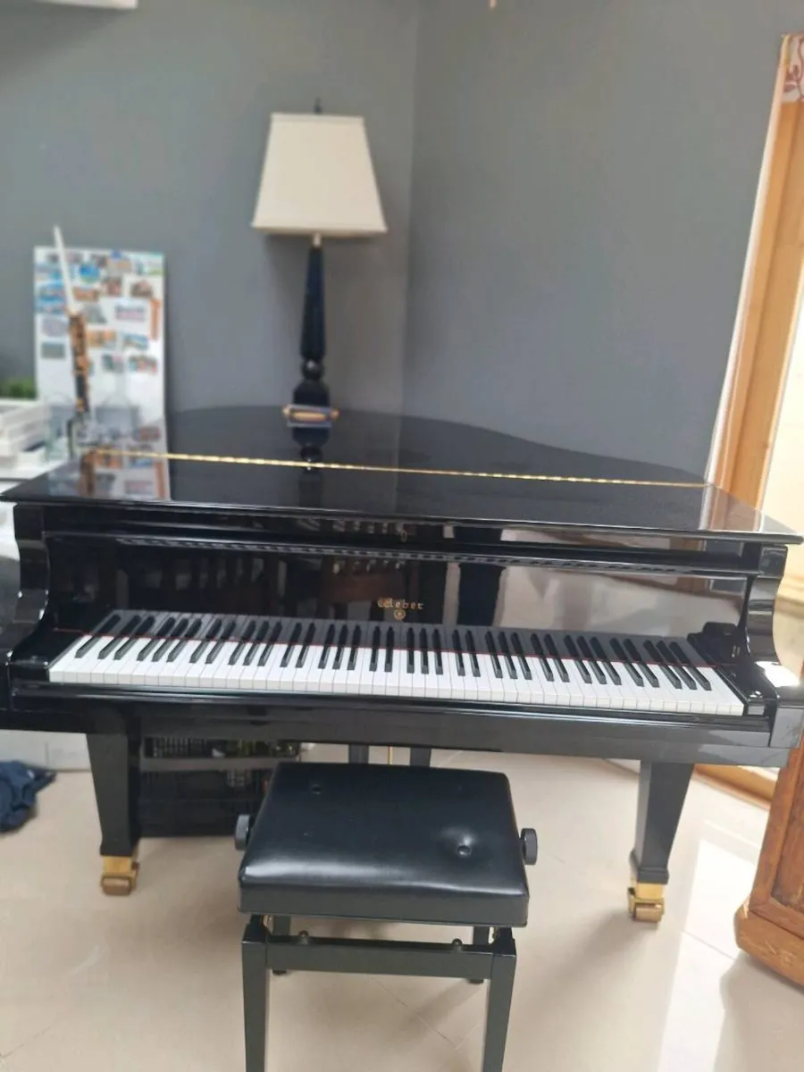Baby Grand Piano - Image 1