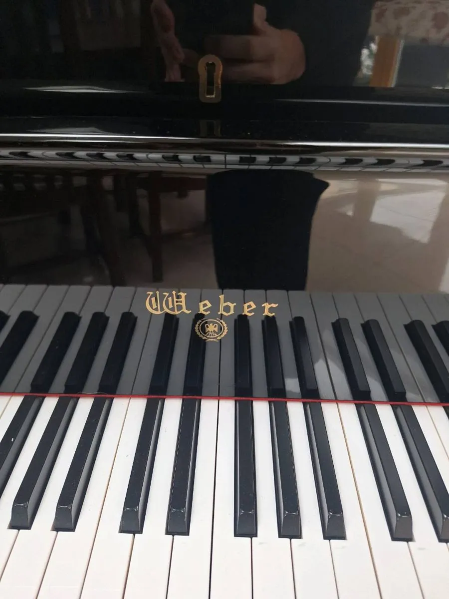 Baby Grand Piano - Image 2