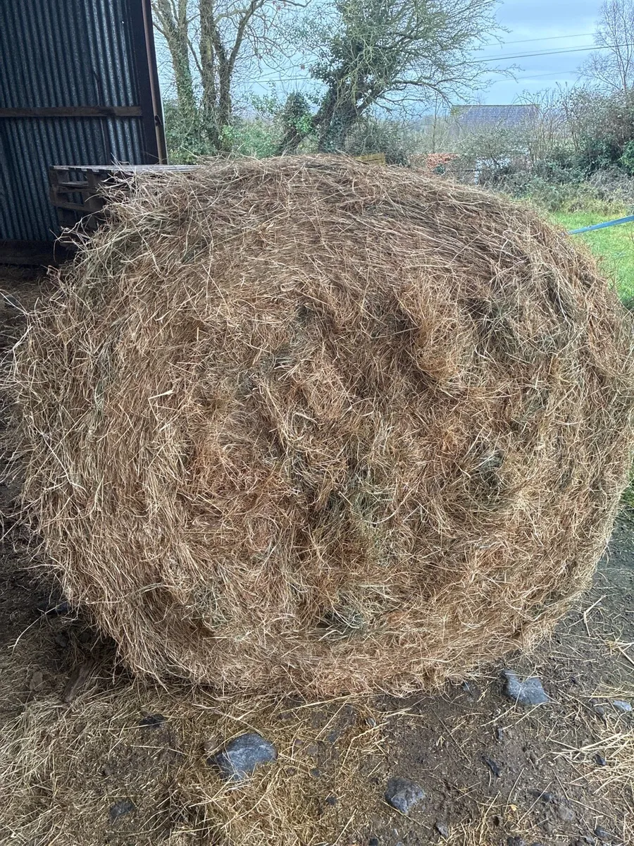 4x4 hay