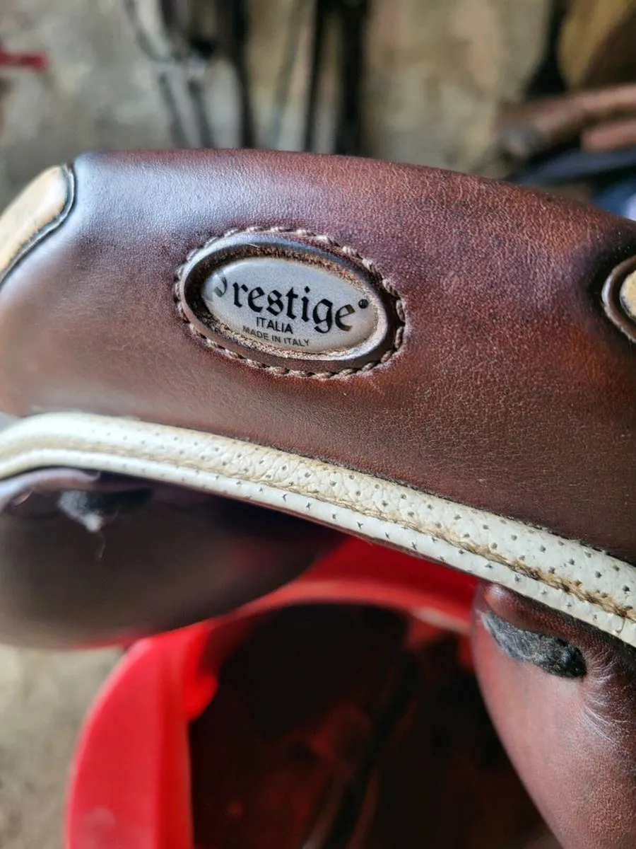 Prestige X Paris Jumping Saddle - Image 3