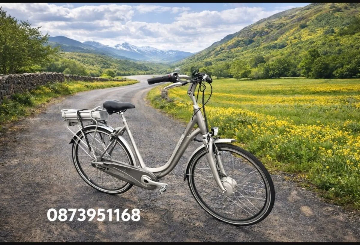 ebike shop ebike free delivery - Image 1