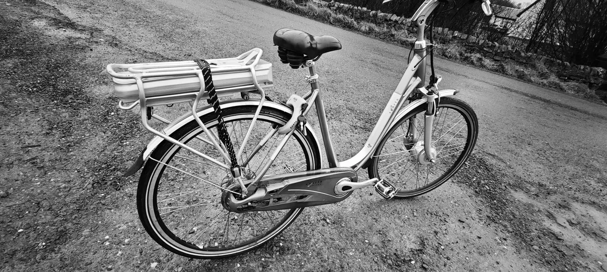 ebike shop ebike free delivery - Image 3