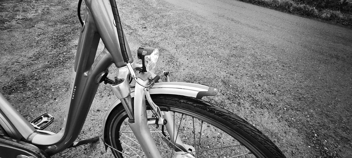 ebike shop ebike free delivery - Image 4